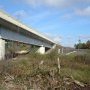 Ripisylve. Vallée du Meudon. Laruscade. 10/11/2014.