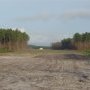 Aspect du chantier dans la forêt du Nord-Gironde (décembre 2012)