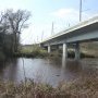 Site Natura 2000 de la Saye. Laruscade. 24/03/2016