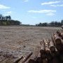 Défrichements pour la LGV en Nord-Gironde (avril 2012)